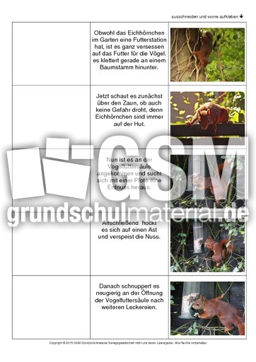 Flip-Flap-Eichhörnchen-Geschichte-2.pdf